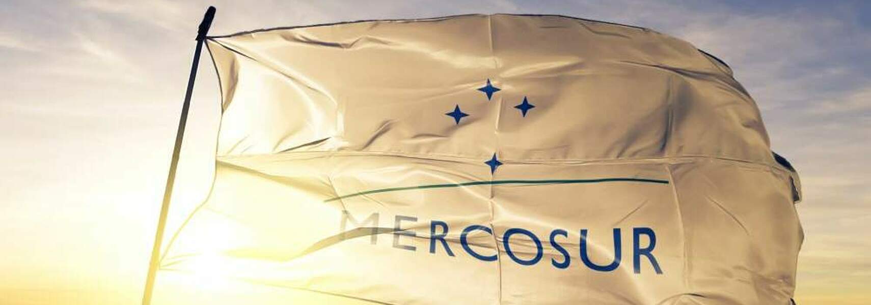 Position zum Freihandelsabkommen EU-Mercosur