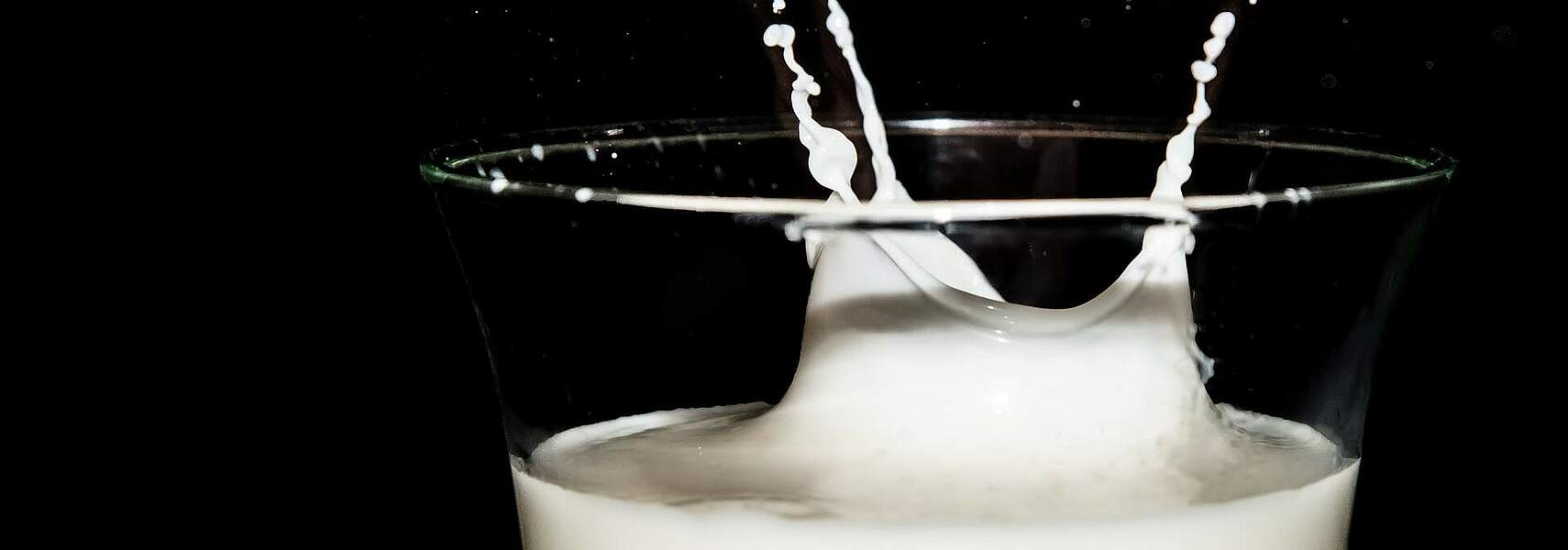Absicherung von Milchpreis und Produktionskosten