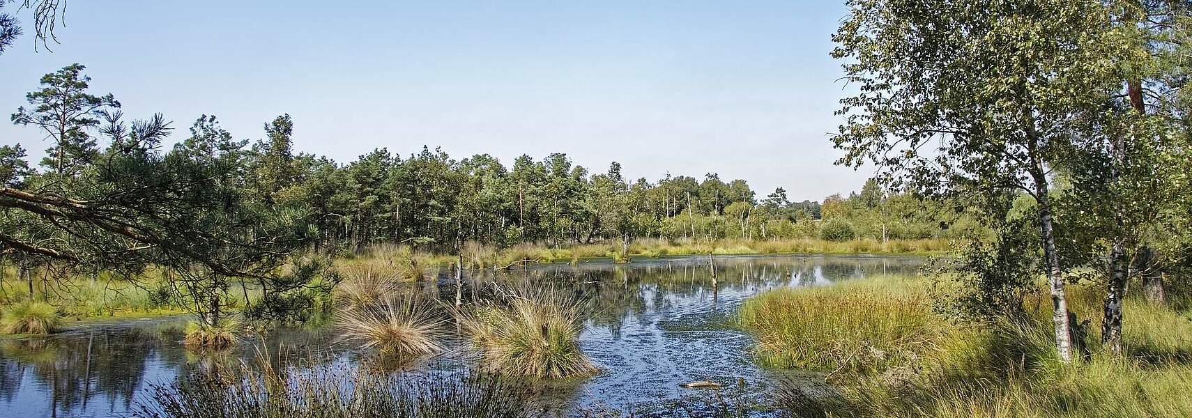 „Naturwiederherstellungsgesetz darf kein Landwirtschaftsverdrängungsgesetz sein“