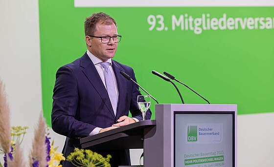 Suchergebnis Vorschaubild