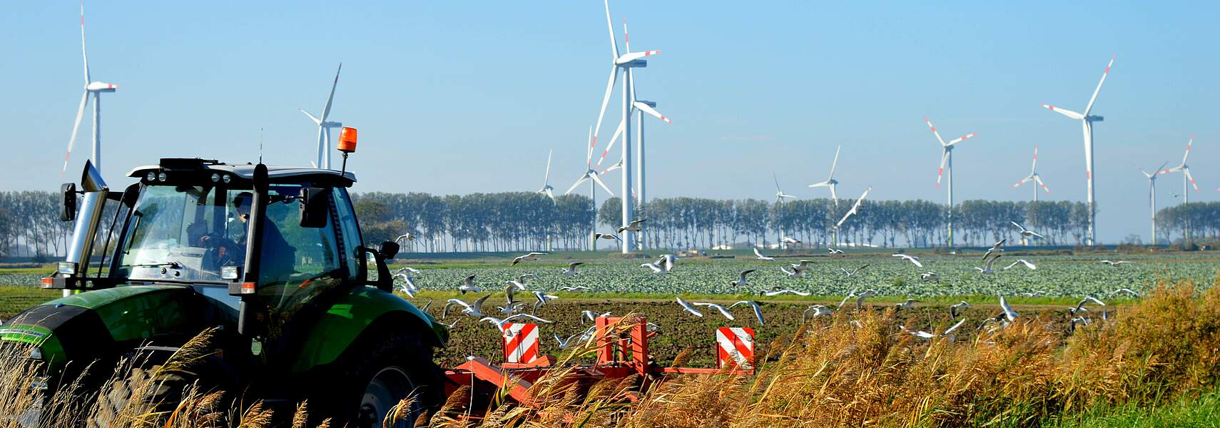 „Klimapaket 2030 gibt wichtige Signale für die Land- und Forstwirtschaft“