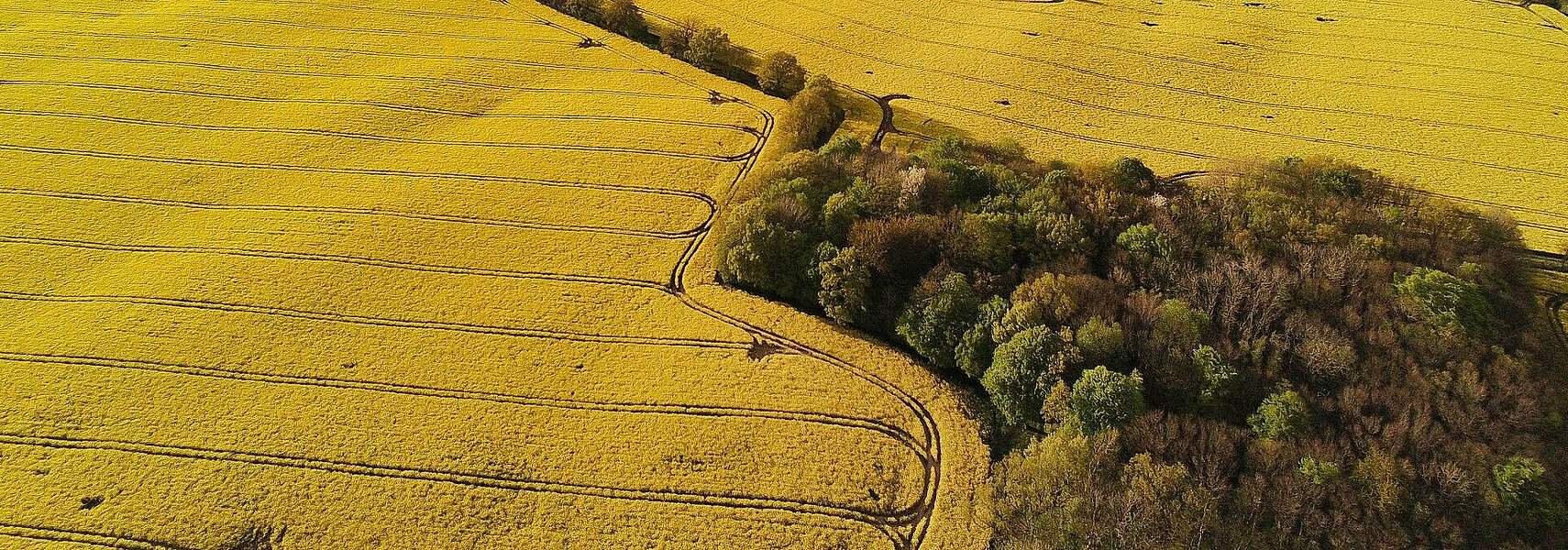 „Förderausschluss für Biokraftstoffe in der Landwirtschaft widerspricht Klimaschutzzielen“