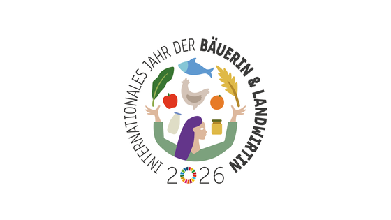 Suchergebnis Vorschaubild