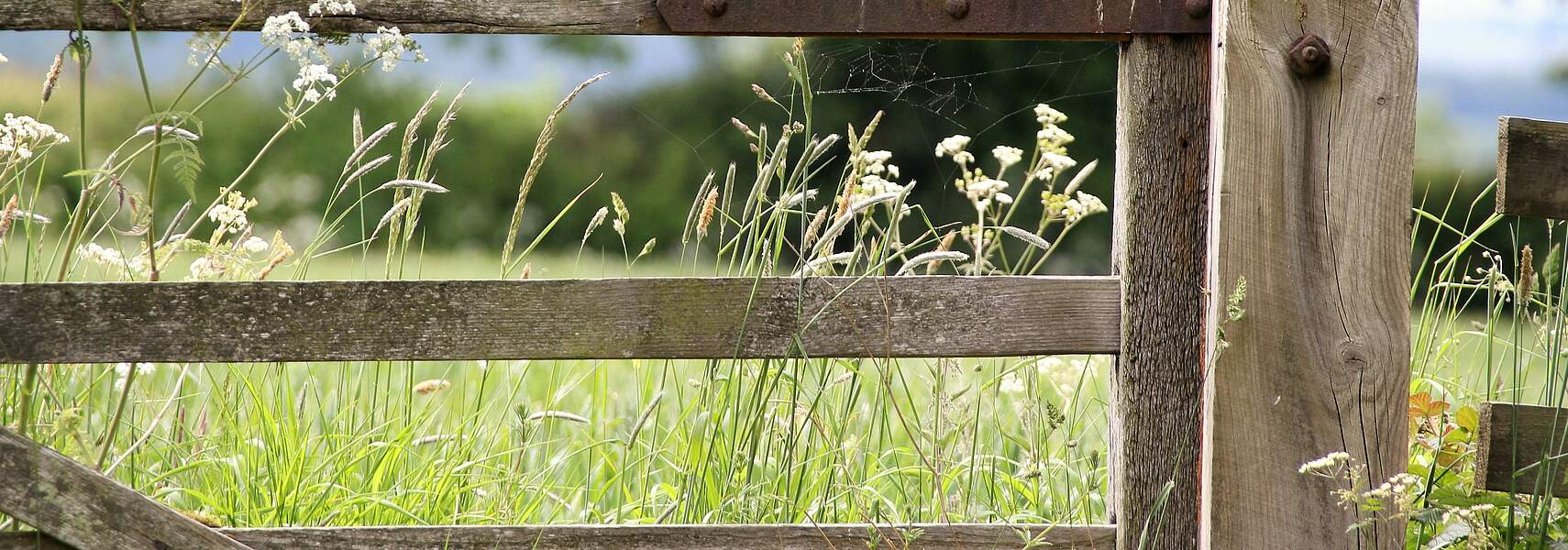 Gefahr von Mehrbelastungen bei der Grundsteuer bleibt