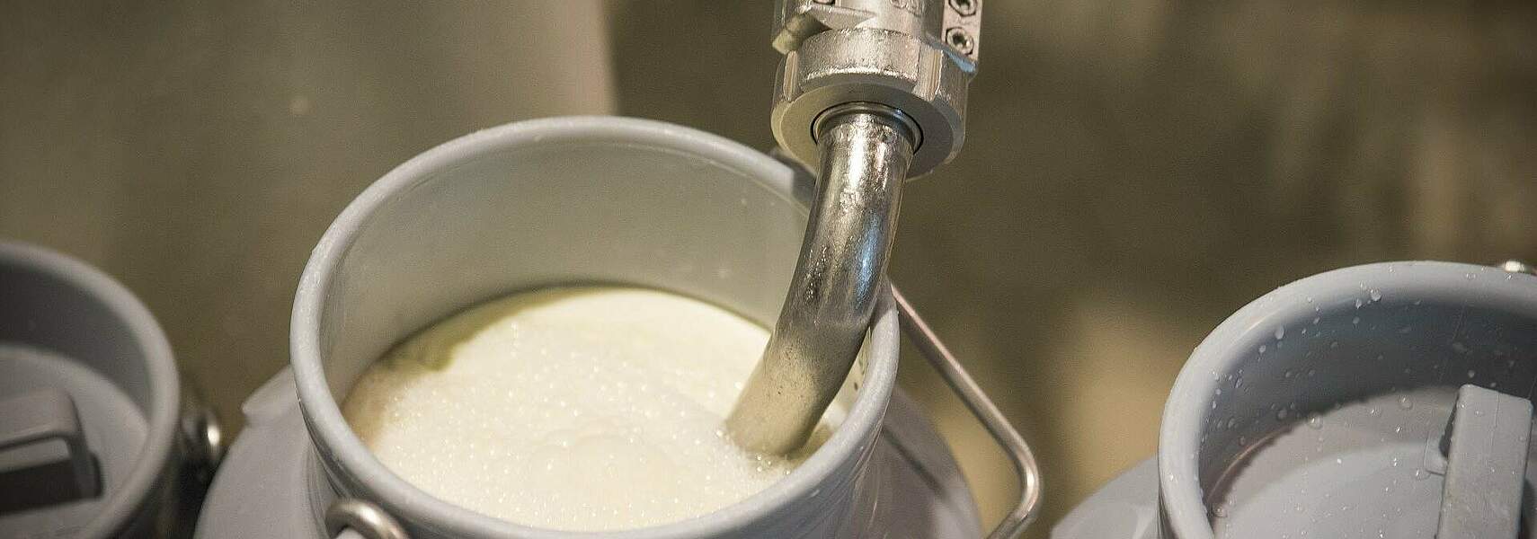 Milchpreisverhandlungen mit Aldi in der Kritik