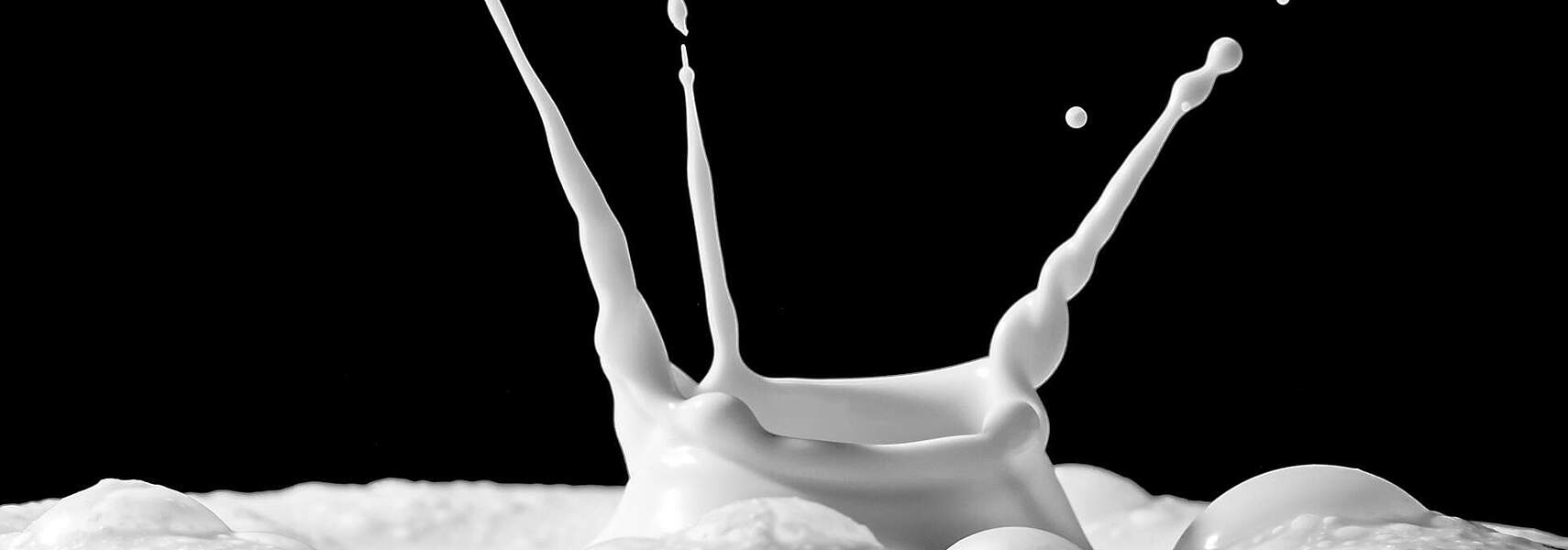 Erst reguliert, dann liberalisiert:  Milchbauern stehen mit einem Bein im Weltmarkt