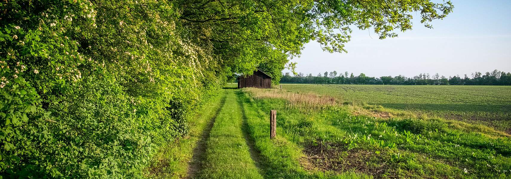 „Landwirte erwarten schnelle Entscheidung über EU-Haushalt“