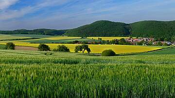 Suchergebnis Vorschaubild