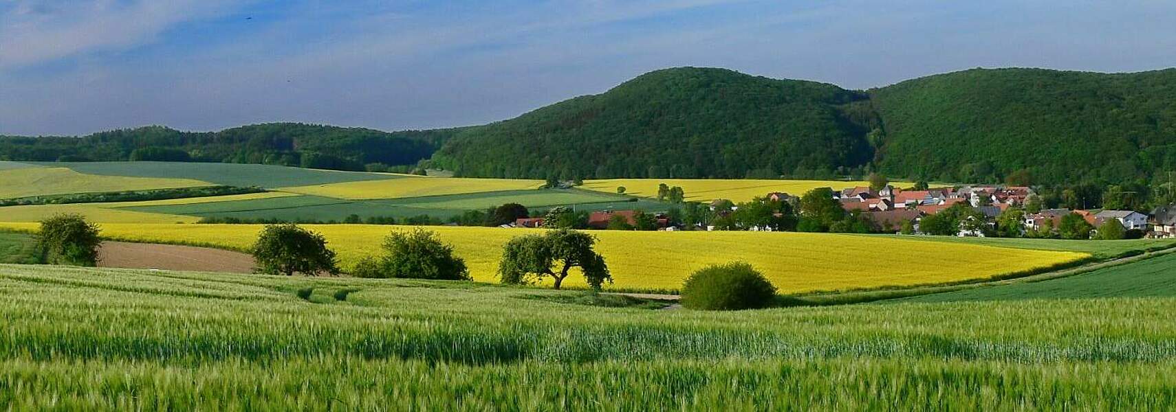 Anliegen des Bauernverbandes zur Agrarministerkonferenz