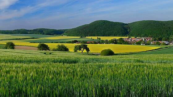 Suchergebnis Vorschaubild Suchergebnis Vorschaubild
