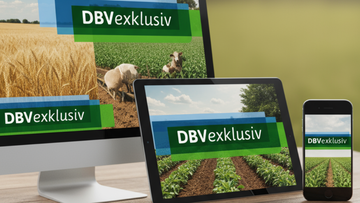 Suchergebnis Vorschaubild