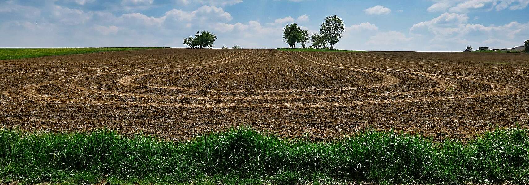 Bauernverband sieht wichtige erste Schritte im GAP-Vereinfachungspaket