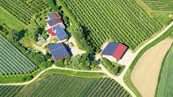 Suchergebnis Vorschaubild