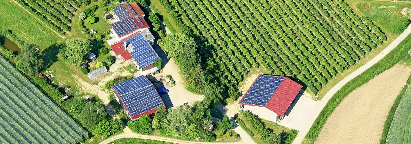 DBV fordert Reform des Verbandsklagerechts