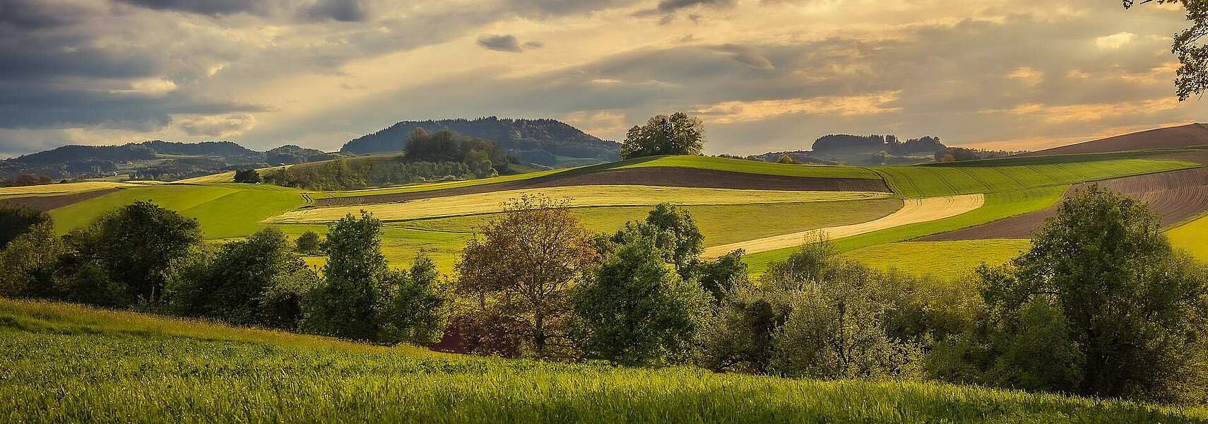 Agrarbarometer fällt auf 10-Jahrestief