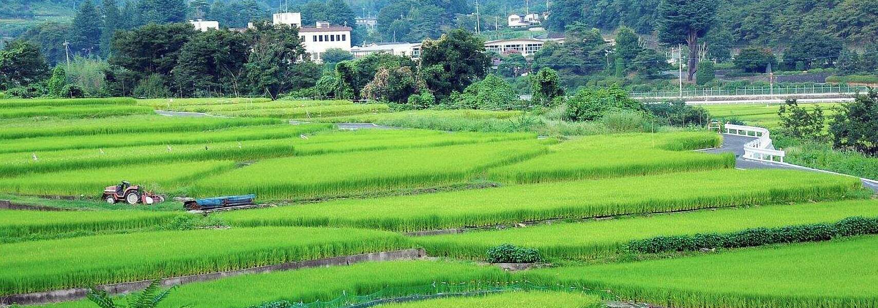 Als LandwirtIn oder GärtnerIn nach Japan