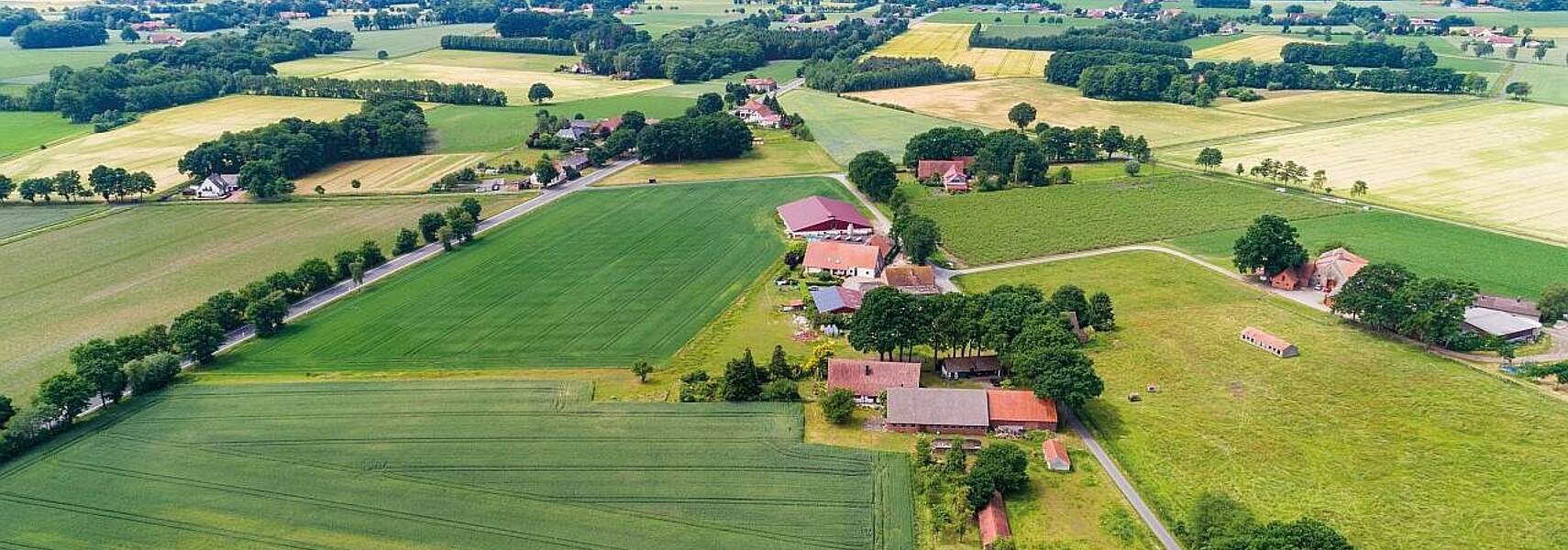 Deutscher Bauernverband lehnt geplantes Naturflächenbedarfsgesetz entschieden ab