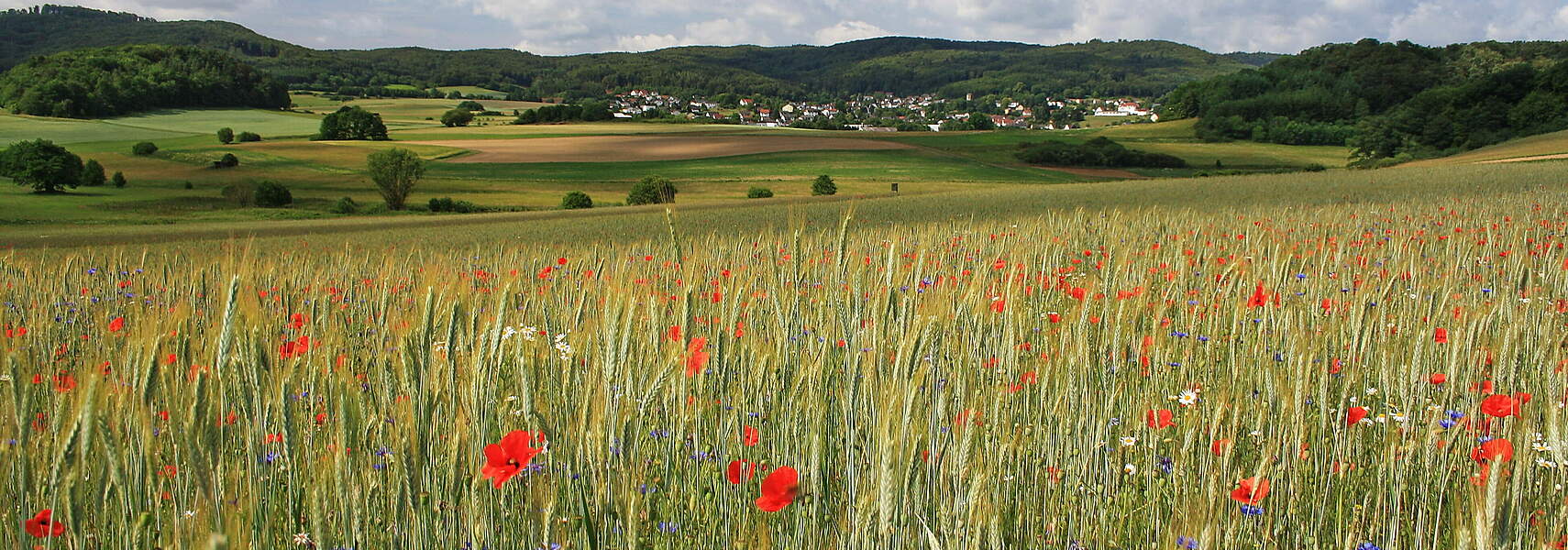 Landwirtschaft und Naturschutz – Zukunft gemeinsam gestalten