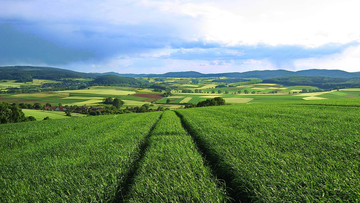 Suchergebnis Vorschaubild