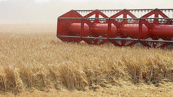 Suchergebnis Vorschaubild