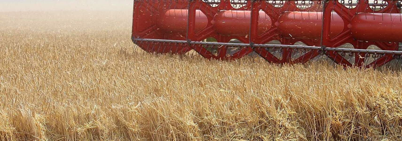 Preislage an den Agrarmärkten äußerst unbefriedigend