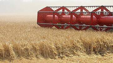 Suchergebnis Vorschaubild