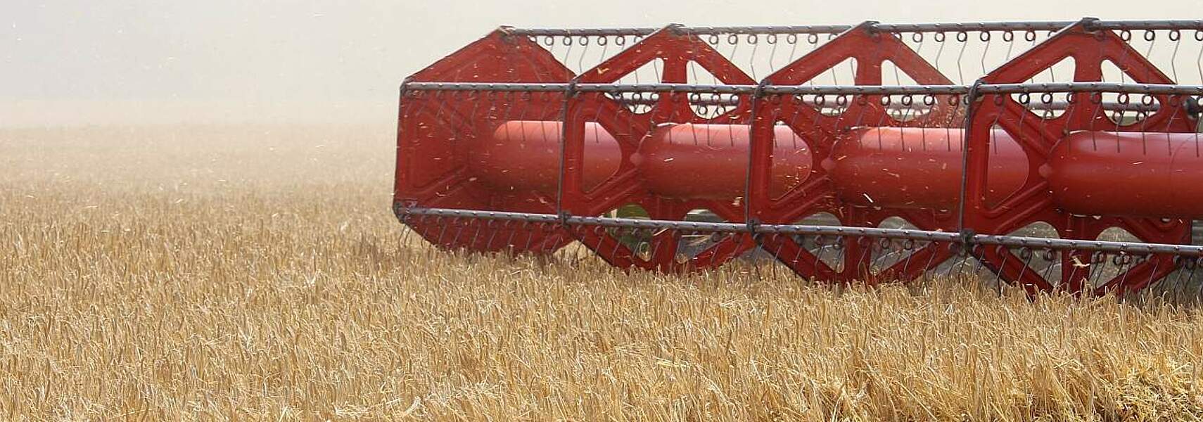 Preislage an den Agrarmärkten äußerst unbefriedigend