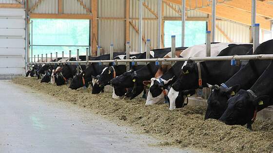 Suchergebnis Vorschaubild Suchergebnis Vorschaubild