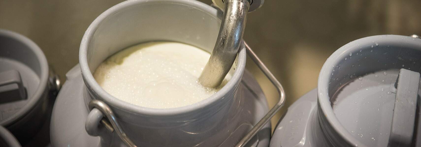 Milchmarkt: Corona-Geschehen erfordert Reaktion