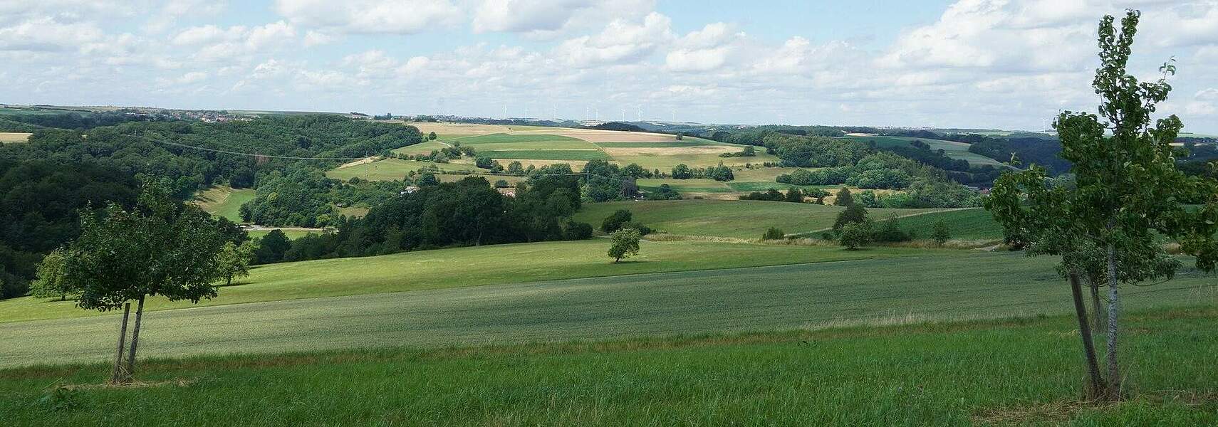 Bauernverband fordert Verbesserungen bei GAP-Direktzahlungen-Gesetzen