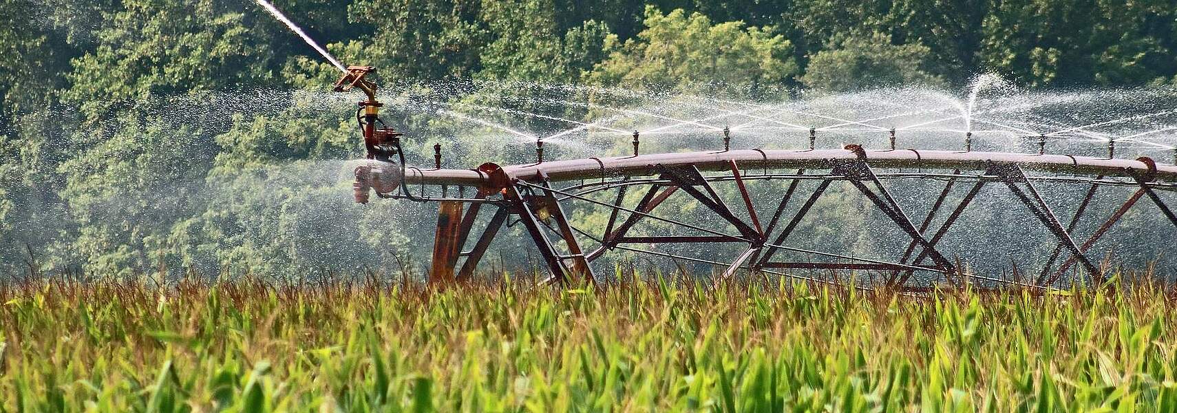 EU-Wasserstrategie: Grundansatz stimmt