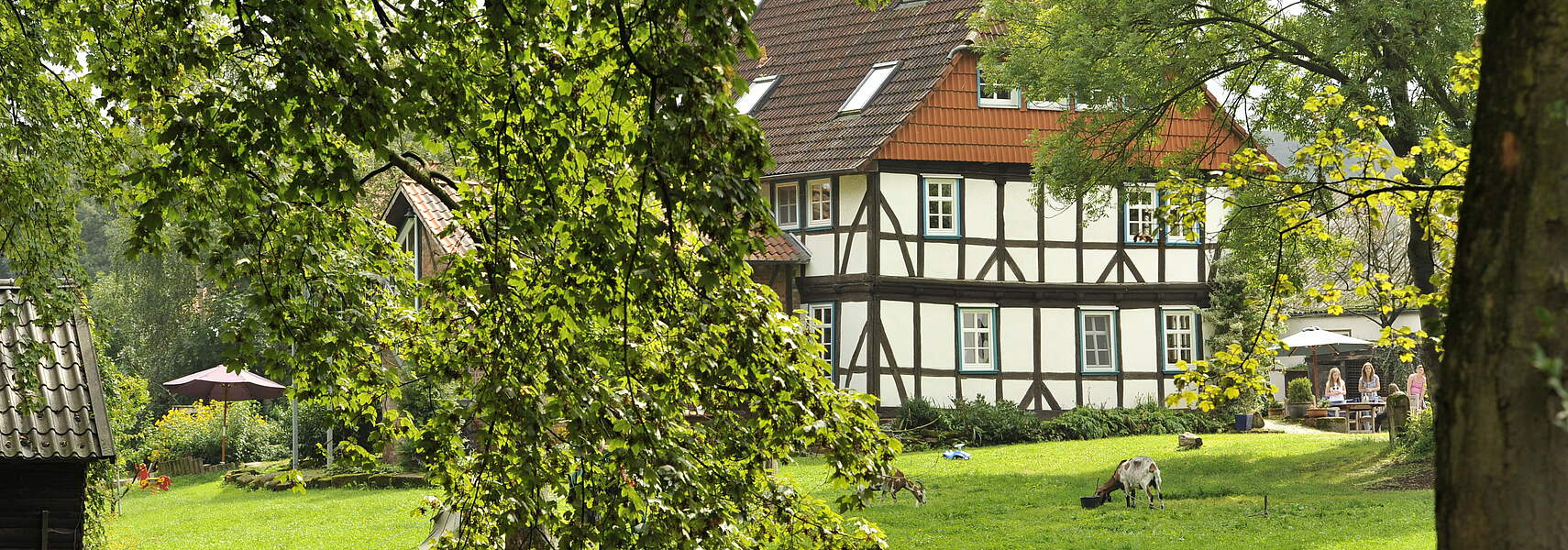 Große Nachfrage nach Urlaub auf dem Bauernhof