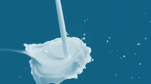 Suchergebnis Vorschaubild