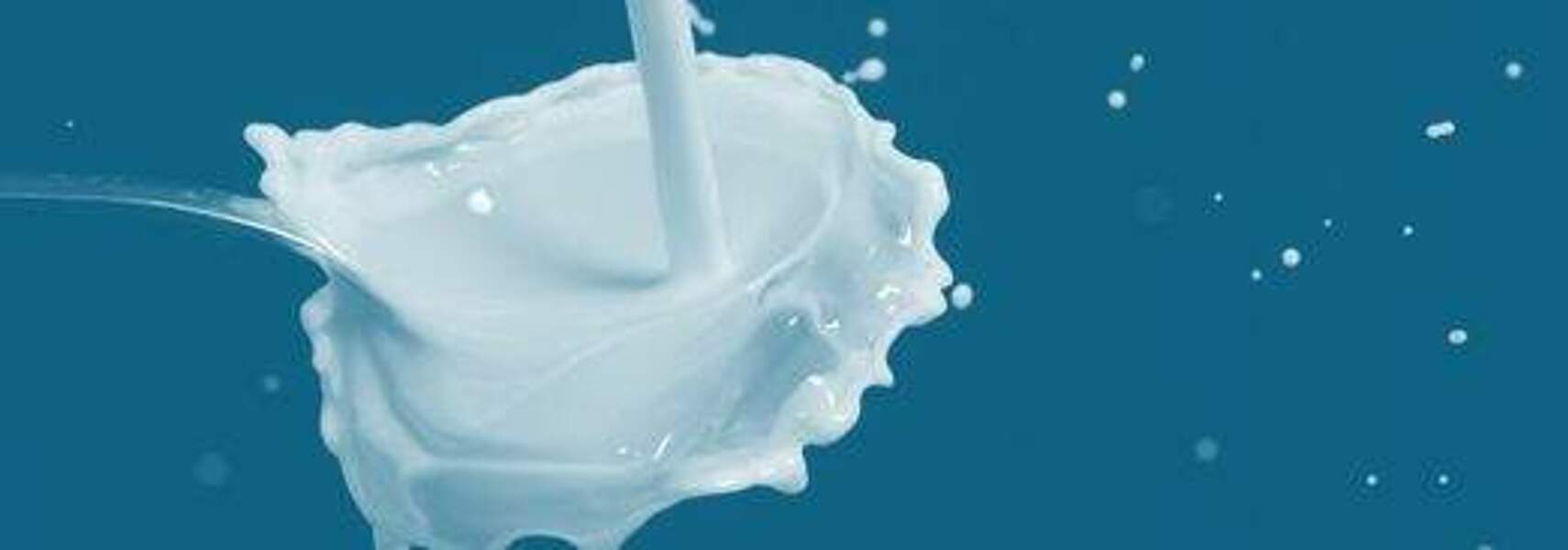 16. Berliner Milchforum