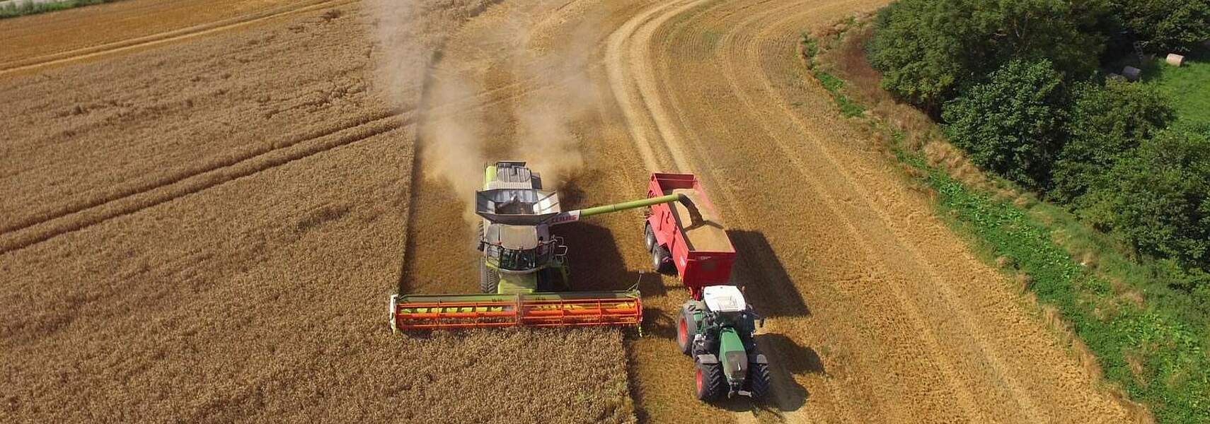 Erster DBV-Erntebericht 2024