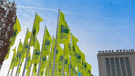 Suchergebnis Vorschaubild