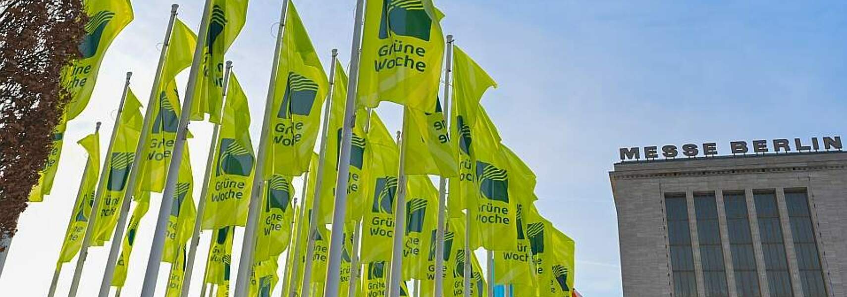 Bauernverband feiert 100 Jahre Grüne Woche