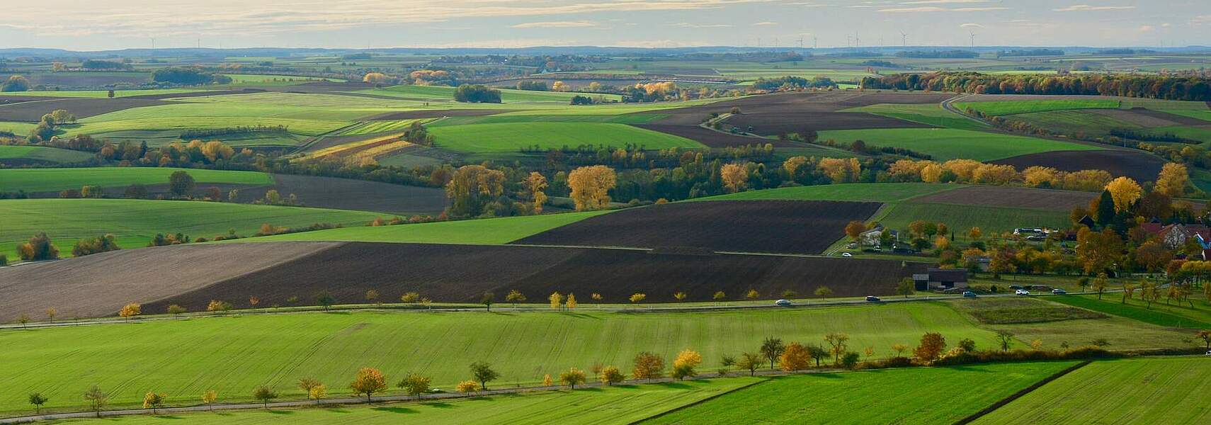 Bauernverband zum BMEL-Vorschlag für EU-Agrarzahlungen in Deutschland