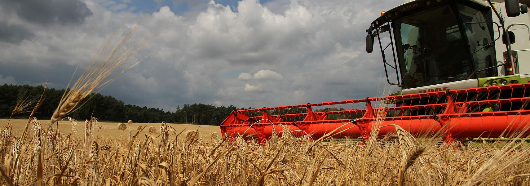 „Steuerliche Konjunkturimpulse auch für Landwirte wichtig“