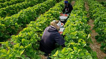 Suchergebnis Vorschaubild