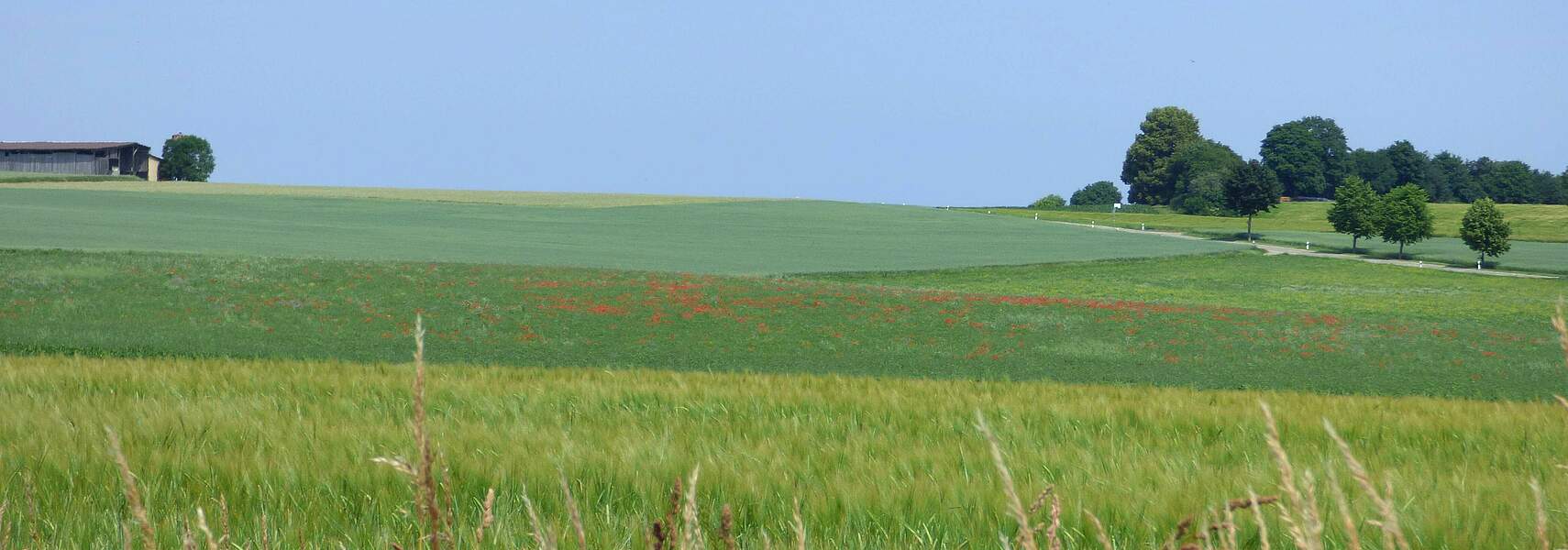 Öko-Umstellungsinteresse der deutschen Landwirte weiter auf hohem Niveau