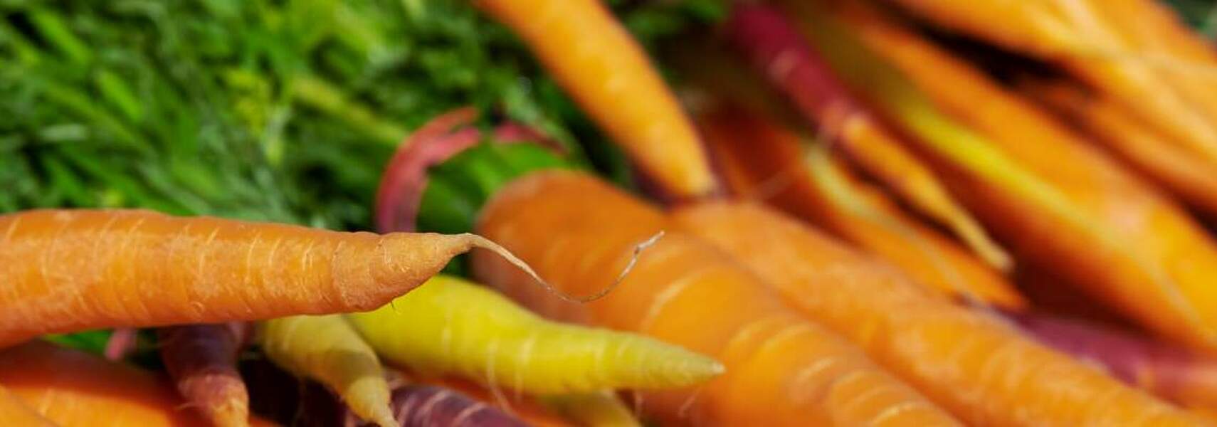 Vermarktungsnormen für Obst und Gemüse: Nützlich für Verbraucher und Handel