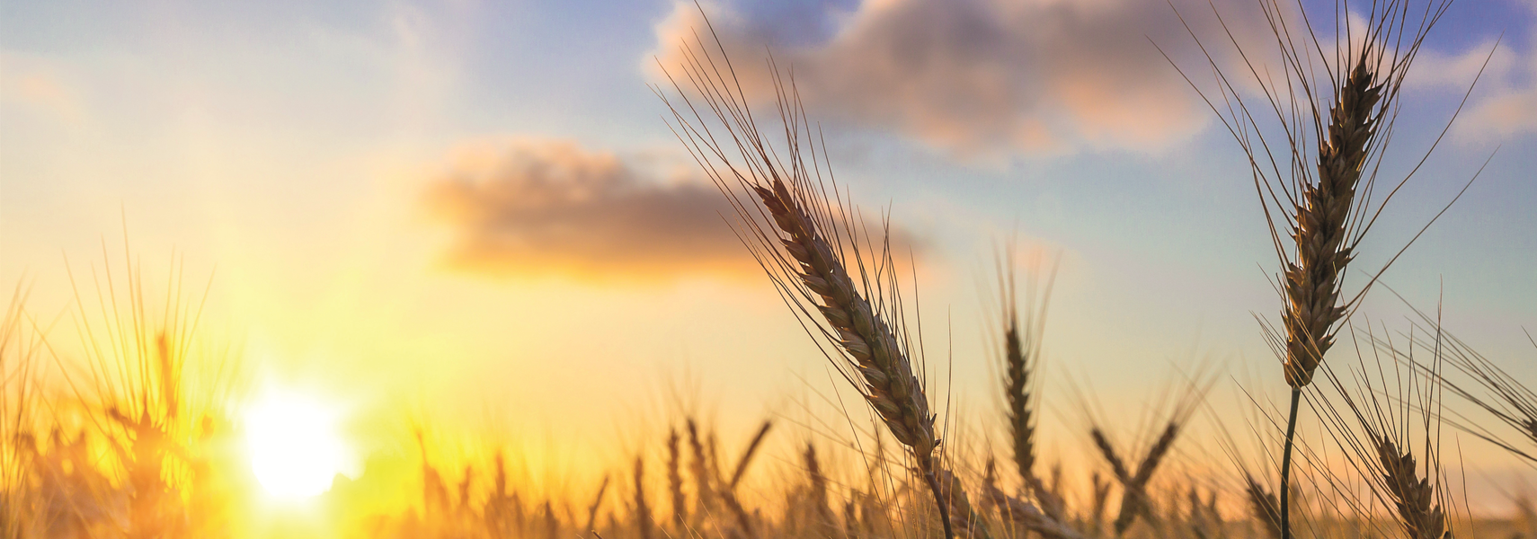 Mehr als eine Vision! Mehr als eine Vision!