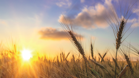 Suchergebnis Vorschaubild Suchergebnis Vorschaubild