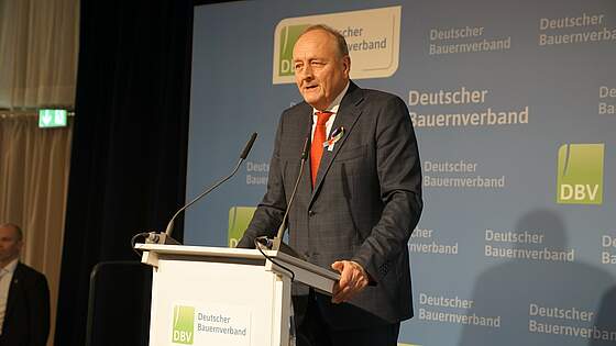 Suchergebnis Vorschaubild