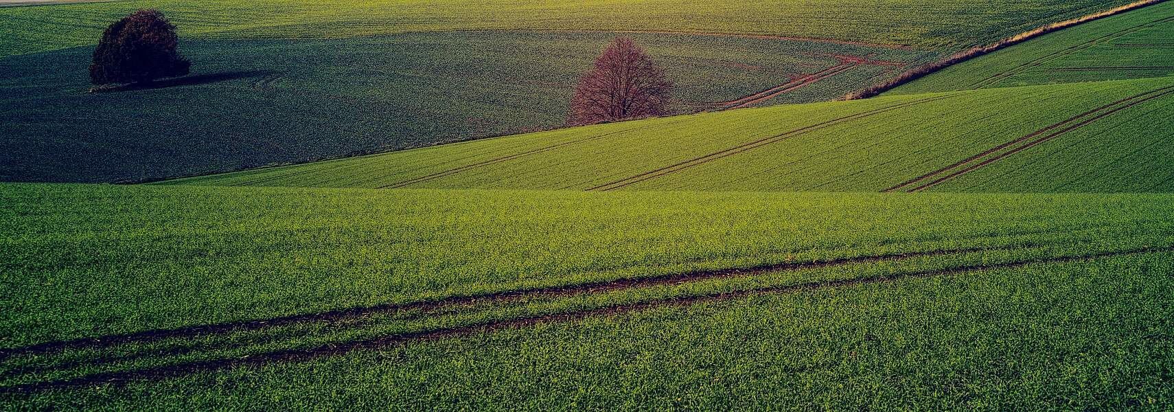 „Klimaeffiziente Landwirtschaft vorantreiben“