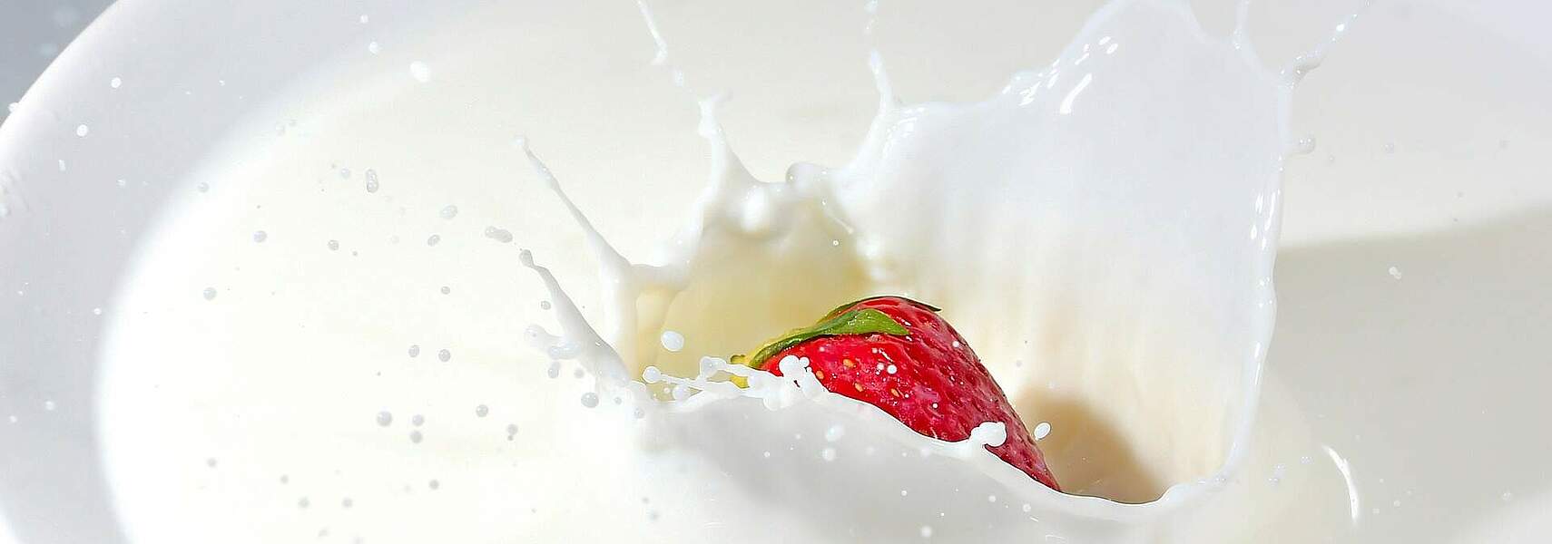 Internationaler Tag der Milch 2024