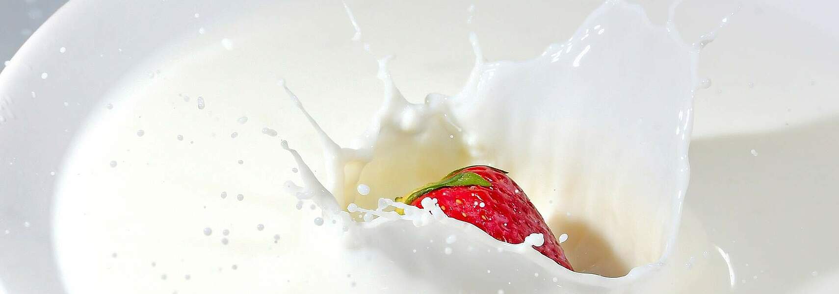 Internationaler Tag der Milch: Gemeinsam für die Sicherung einer gesunden Ernährung