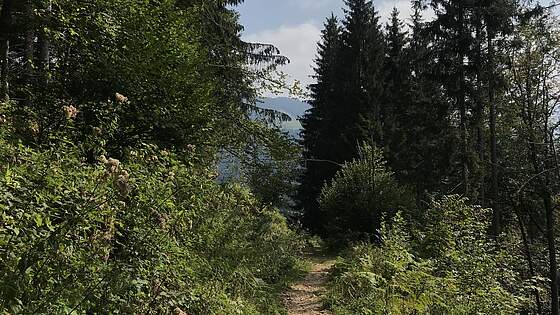 Suchergebnis Vorschaubild Suchergebnis Vorschaubild