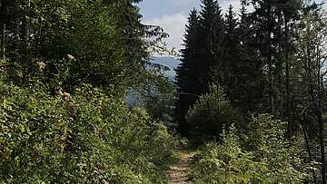 Suchergebnis Vorschaubild